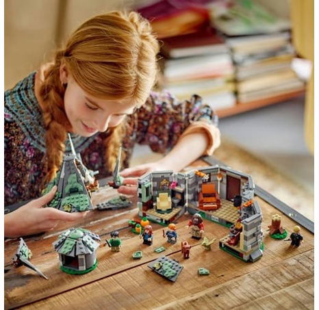 Lego LEGO® Harry Potter 76428 Hagridova bouda: Neočekávaná návštěva