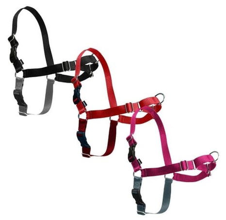 PetSafe® Postroj EasyWalk černý M