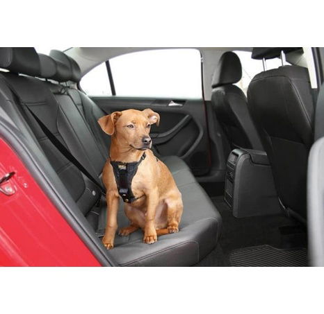 Kurgo® True Fit Enhanced Strenght Bezpečnostní postroj pro psy s autopásem černý M