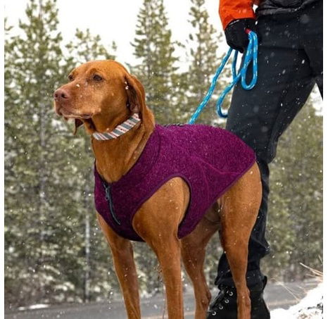 Kurgo® Core Svetr pro psy Heather Violet XL