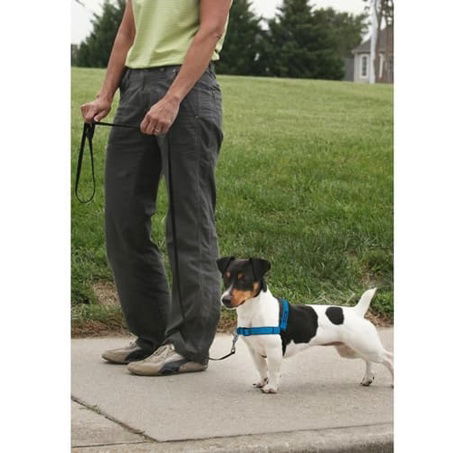 PetSafe® Postroj EasyWalk Deluxe modrý velikost L