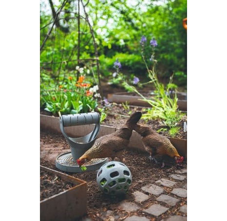 Beeztees Snackball Krmítko pro drůbež šedé 15cm