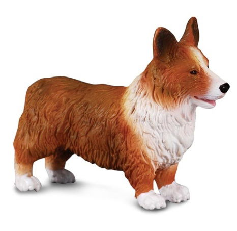 Walisischer Corgi