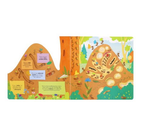 Kniha Čo sa deje v mravenisku SK verzia