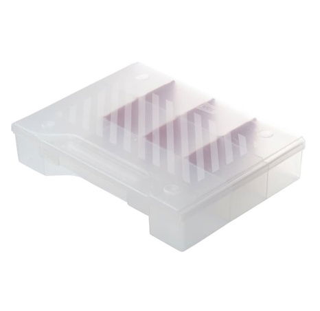 Curver Průhledný organizér na drobnosti L