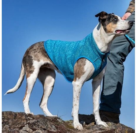 Kurgo® Core Svetr pro psy Heather Blue M