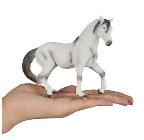 Mojo Andaluský kůň šedý