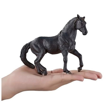 Mojo Andaluský kůň černý