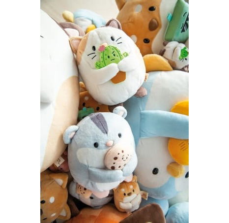 NICI plyš MyMochi Kočička Angy 16cm s kaktusem v dárkovém balení, 11x12x6,5cm