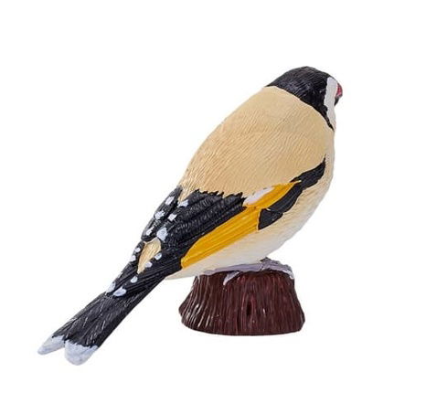 Mojo Stehlík obecný