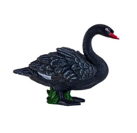 Mojo Labuť černá
