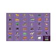 Mudpuppy Puzzle Falten und Suchen Natur 64 Teile
