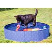 Beeztees Doggy Dip Bazén pro psy modrý 120x120x30cm