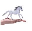 Mojo Lusitánský kůň bílý