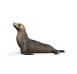 Schleich 14933 Lachtan