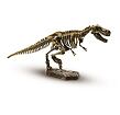 Kostra T-rex