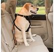 Kurgo® Bezpečnostní pás pro psa do auta Direct to Seatbelt Tether oranžový