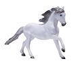 Mojo Lusitánský kůň bílý