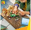 Lego 31386  Creator Divoká zvířata: Majestátní lev