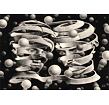 Puzzle 1000 Teile - Art NOVO - M. C. Escher-Bond of Union