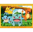 Pokémon 4x100 dílků