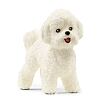 Schleich 13963 Bichon Frise