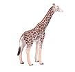 Mojo Žirafa samec