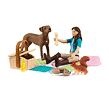 Picknick mit Lisa, Spielset