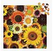 Galison Puzzle Květy slunečnic 500 dílků