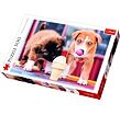 Puzzle Hunde mit Eiscreme 500 Teile