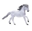 Mojo Lusitánský kůň bílý