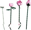 LEGO® Botanicals 10374 Kytice růžových růží