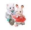 Sylvanian Families Sada vesnický lékař